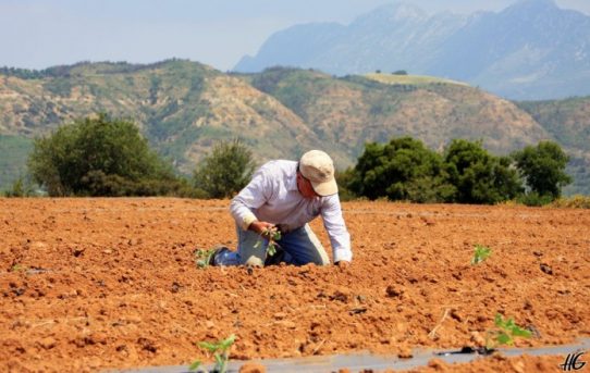 Φορολογικές Υποχρεώσεις Αγροτών – Τι πρέπει να γνωρίζετε