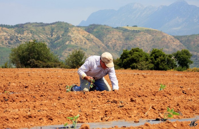 Πώς Θα Χορηγούνται Οι Βεβαιώσεις Για Το Μητρώο Αγροτών