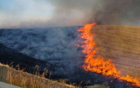 Καύση αγροτικών εκτάσεων – υπολειμμάτων καλλιεργειών (καλαμιάς)