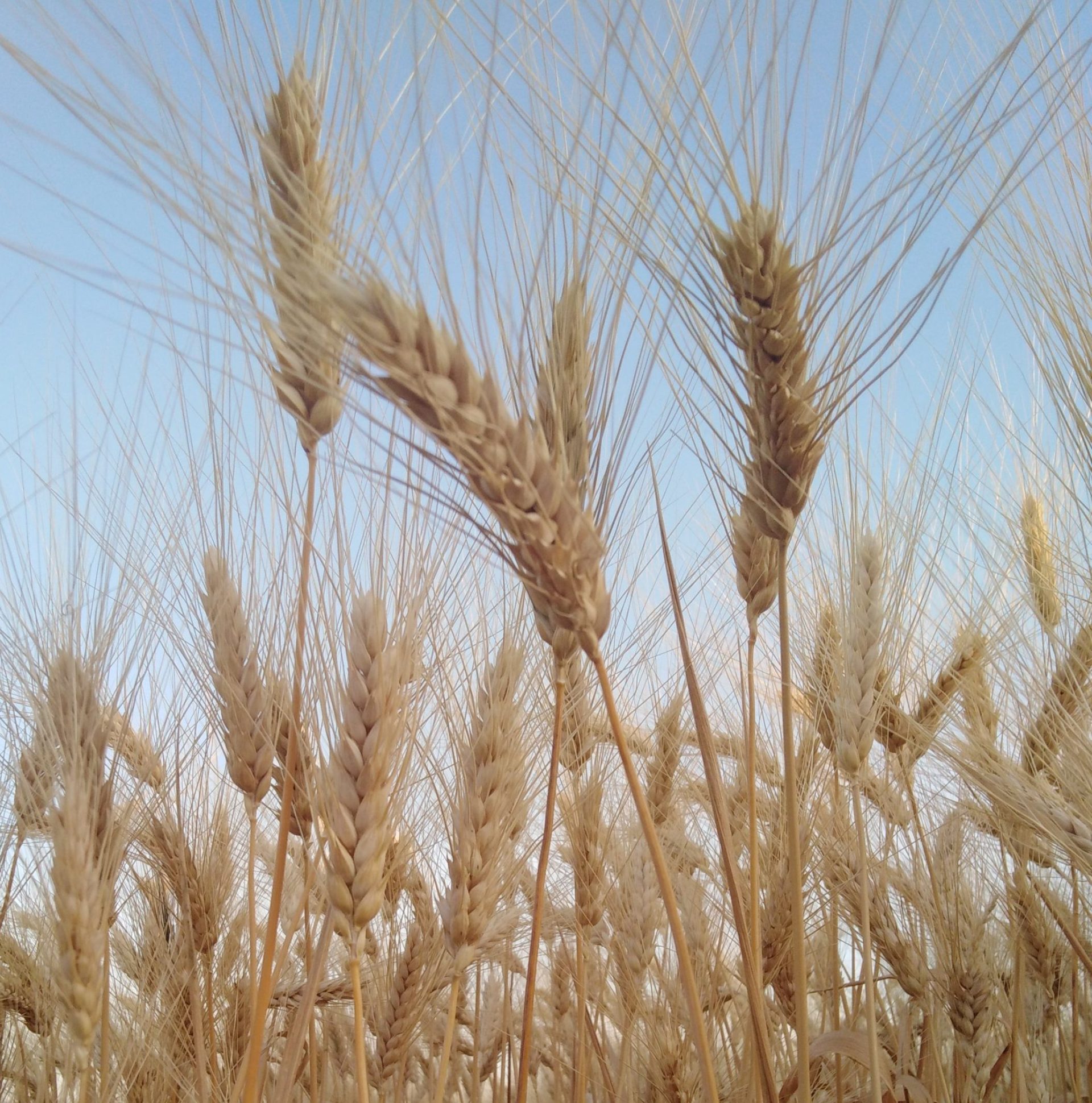 Συνεταιρισμοί : Η απάντηση στην κρίση
