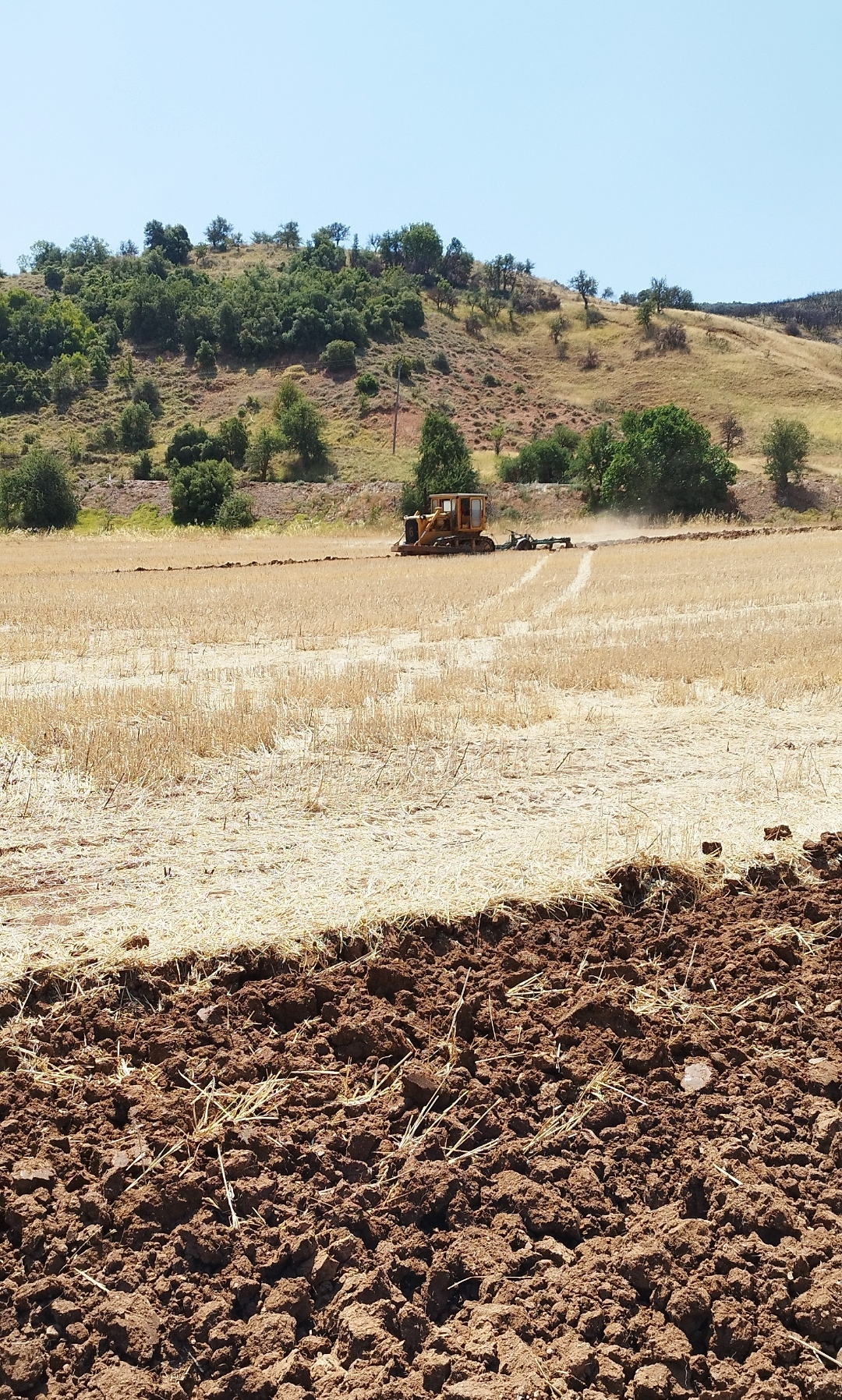 ΚΑΠ: Οδηγός εφαρμογής του προτύπου για την αμειψισπορά σε αρόσιμη γη.