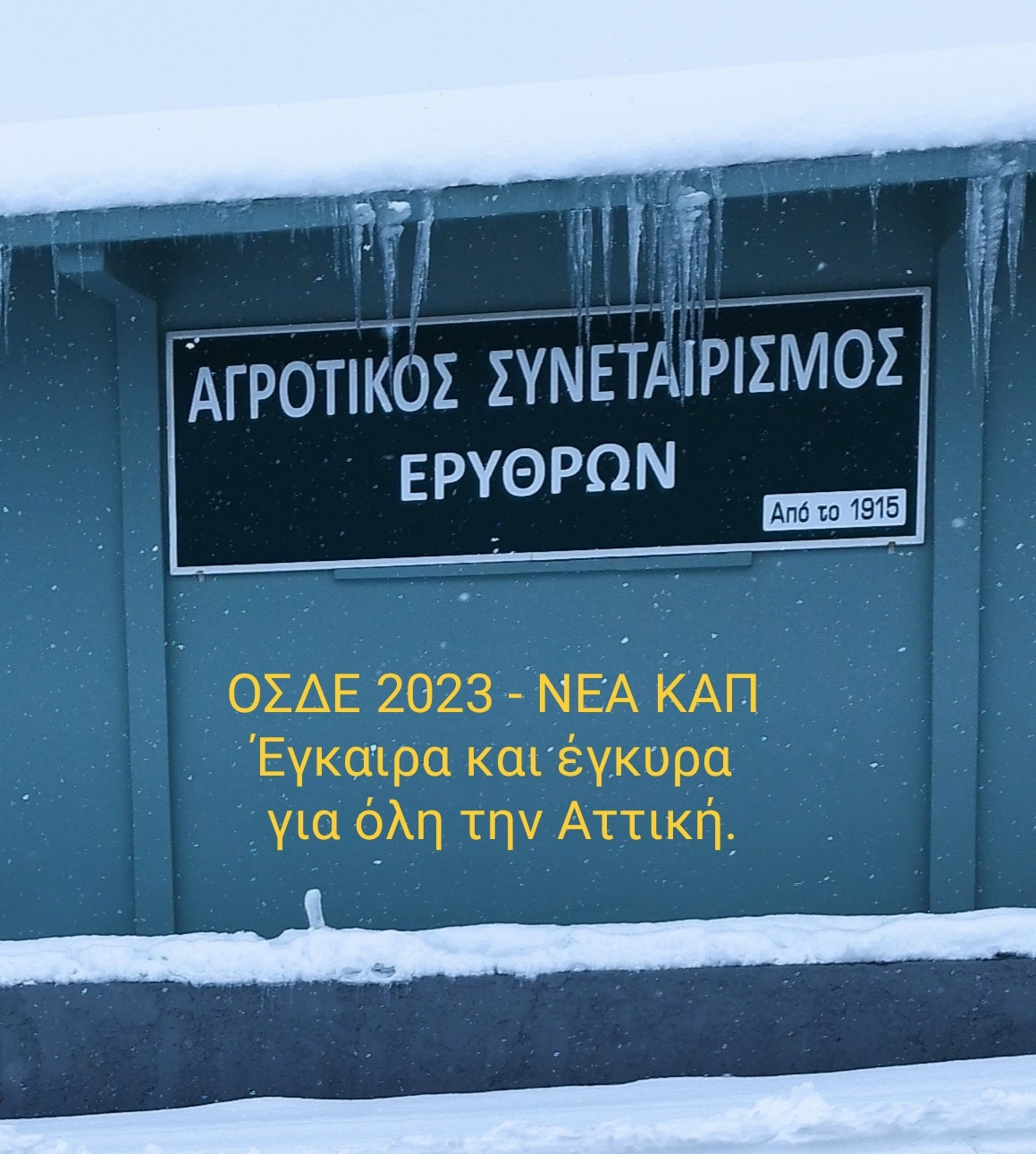 Α.Σ. Ερυθρών : ΟΣΔΕ 2023