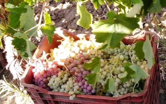 Από 14 Απριλίου ξεκινούν οι αιτήσεις για το ΚΟΜΦΟΥΖΙΟ