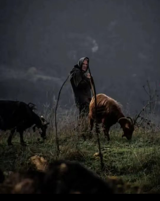 Τα ποσά που πληρώθηκαν ανά οικολογικό σχήμα