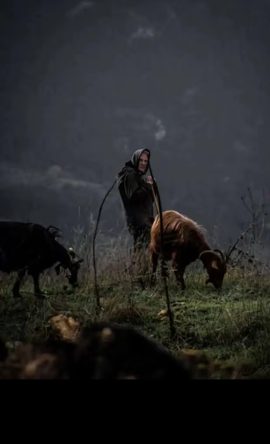 Τα ποσά που πληρώθηκαν ανά οικολογικό σχήμα