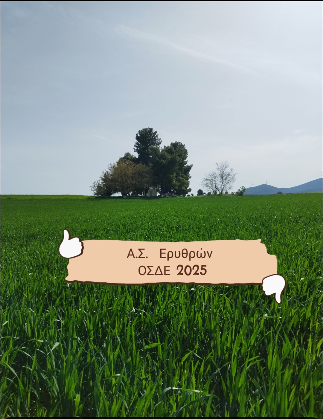 ΟΣΔΕ 2025