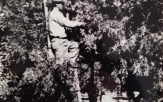 Δράση Κοινωνικής Προσφοράς του Αγροτικού Συνεταιρισμού Ερυθρών