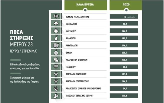 Μέχρι 17 Ιουνίου οι αιτήσεις για το Μέτρο 23