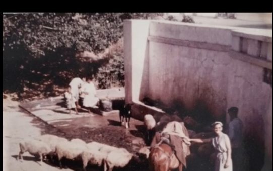 Κοινωνική πρωτοβουλία του Αγροτικού Συνεταιρισμού Ερυθρών