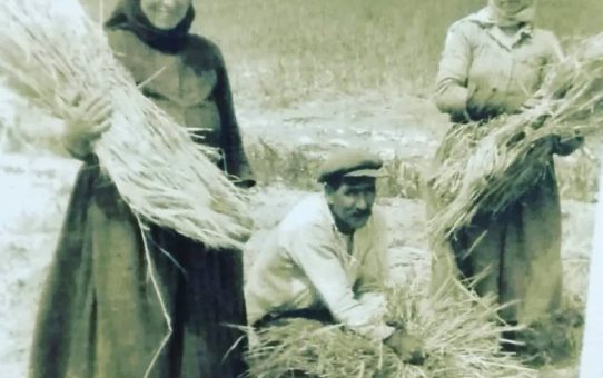 Ανάληψη Δράσης Κοινωνικής Προσφοράς του Α.Σ. Ερυθρών