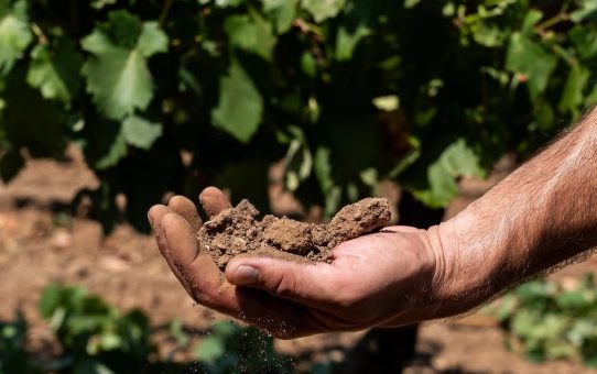 Έκκληση του Αγροτικού Συνεταιρισμού Ερυθρών για Άμεσες Παρεμβάσεις στον Αγροτικό Τομέα